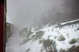 IMG_1297.jpg