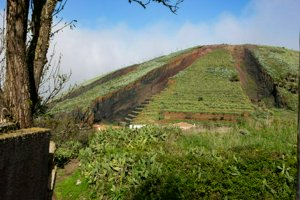 IMG_7040.jpg