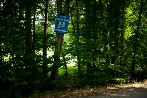 IMG_5085.jpg
