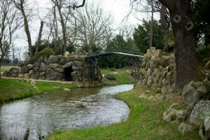 IMG_7174.jpg