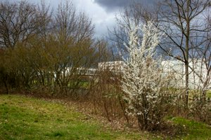 IMG_5490.jpg