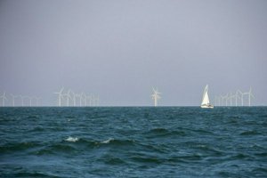 IMG_8819.jpg