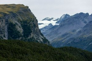 IMG_2141.jpg