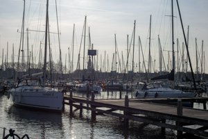 IMG_0125.jpg