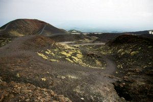 IMG_9605.jpg