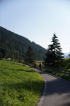 IMG_7888.JPG