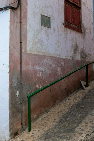 IMG_2971.jpg