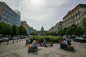 IMG_0558.jpg