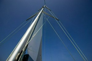 IMG_7834.jpg