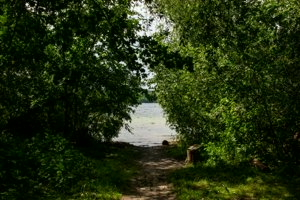 IMG_6202.jpg