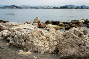 IMG_3276.jpg