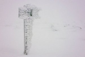 IMG_2882.jpg