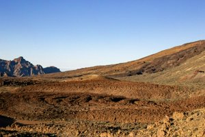 IMG_4115.jpg