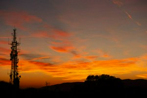 IMG_8871.jpg