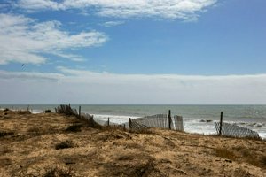 IMG_7897.jpg