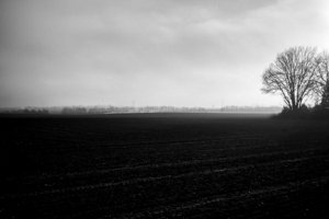 IMG_0983.jpg