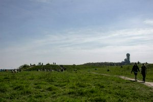 IMG_5660.jpg