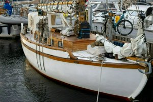 IMG_7713.jpg