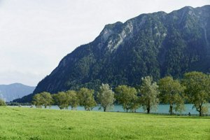 IMG_7869.JPG
