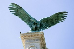 IMG_3415.jpg