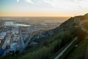 IMG_8764.jpg