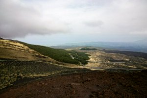 IMG_9532.jpg