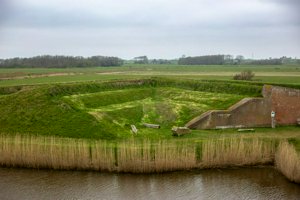 IMG_9695.jpg