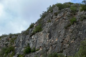 IMG_7245.jpg