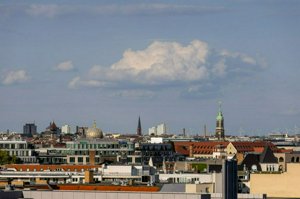 IMG_5532.jpg