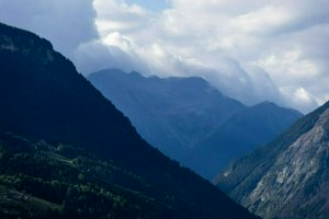 IMG_0881.jpg