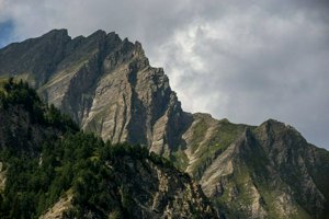 IMG_5984.jpg