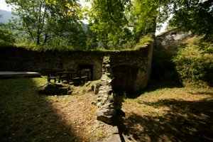 IMG_5800.jpg