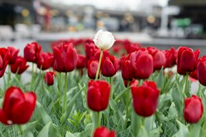 IMG_9913.jpg