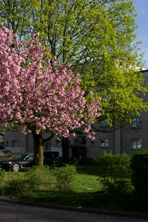 IMG_8373.jpg