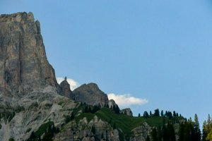 IMG_6461.jpg