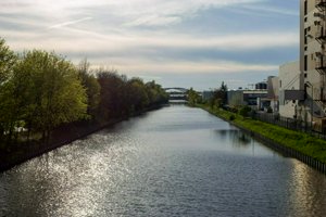 IMG_8379.jpg