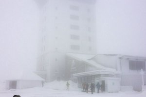 IMG_2878.jpg