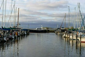 IMG_2264.jpg