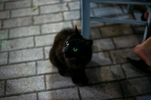 IMG_3801-Enhanced-NR.jpg