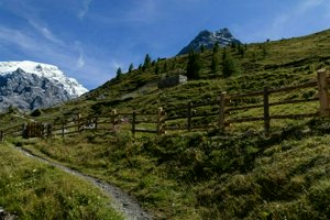IMG_1783.jpg