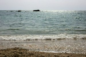 IMG_3322.jpg