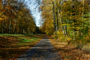 IMG_0258.jpg