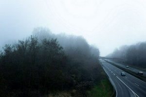 IMG_1010.jpg