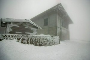 IMG_1365.jpg