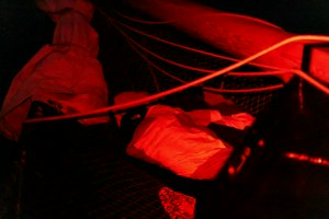IMG_8297_1.jpg