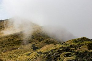 IMG_9463.jpg