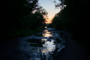 IMG_3930.jpg