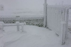 IMG_2708.jpg