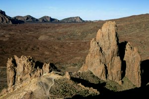 IMG_4245.jpg