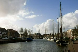 IMG_3943.jpg
